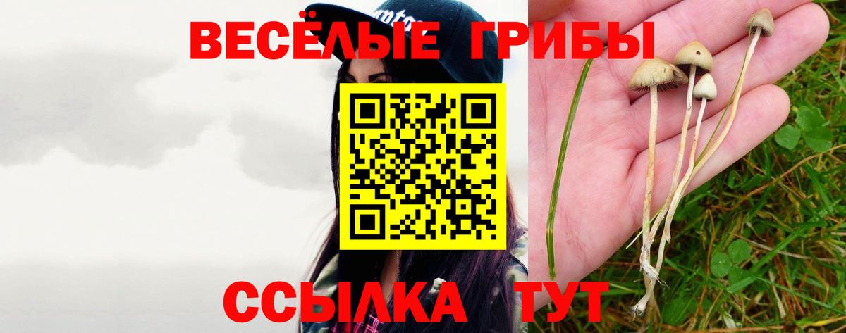 Псилоцибиновые грибы MAGIC MUSHROOMS  Вход с VPN  Алапаевск 